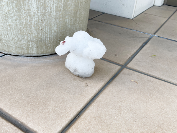 雪で作ったモデル犬♪